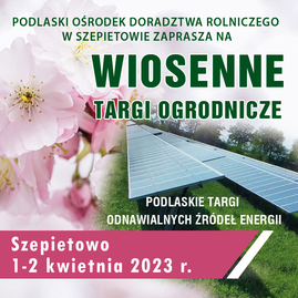 kwadrat-wiosna23 (002).jpg