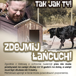 ZWIERZ-akcja-lato-plakat.jpg